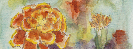 The August Edition - The Marigold (1 of 100)