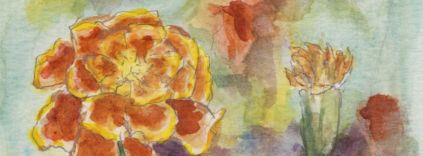 The August Edition - The Marigold (1 of 100)