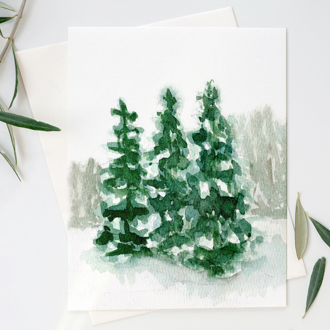 Winter Evergreens