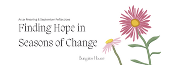 Aster Flower Meaning & September Reflections: Finding Hope in Seasons of Change