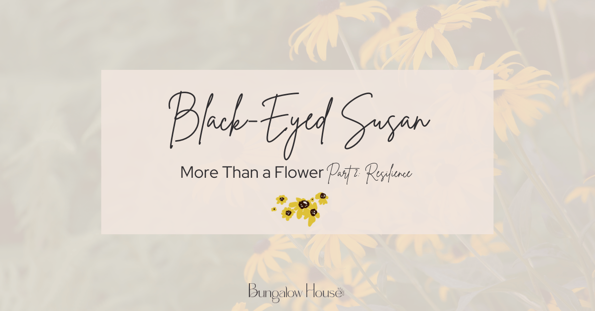 Black-Eyed Susan Cover Image