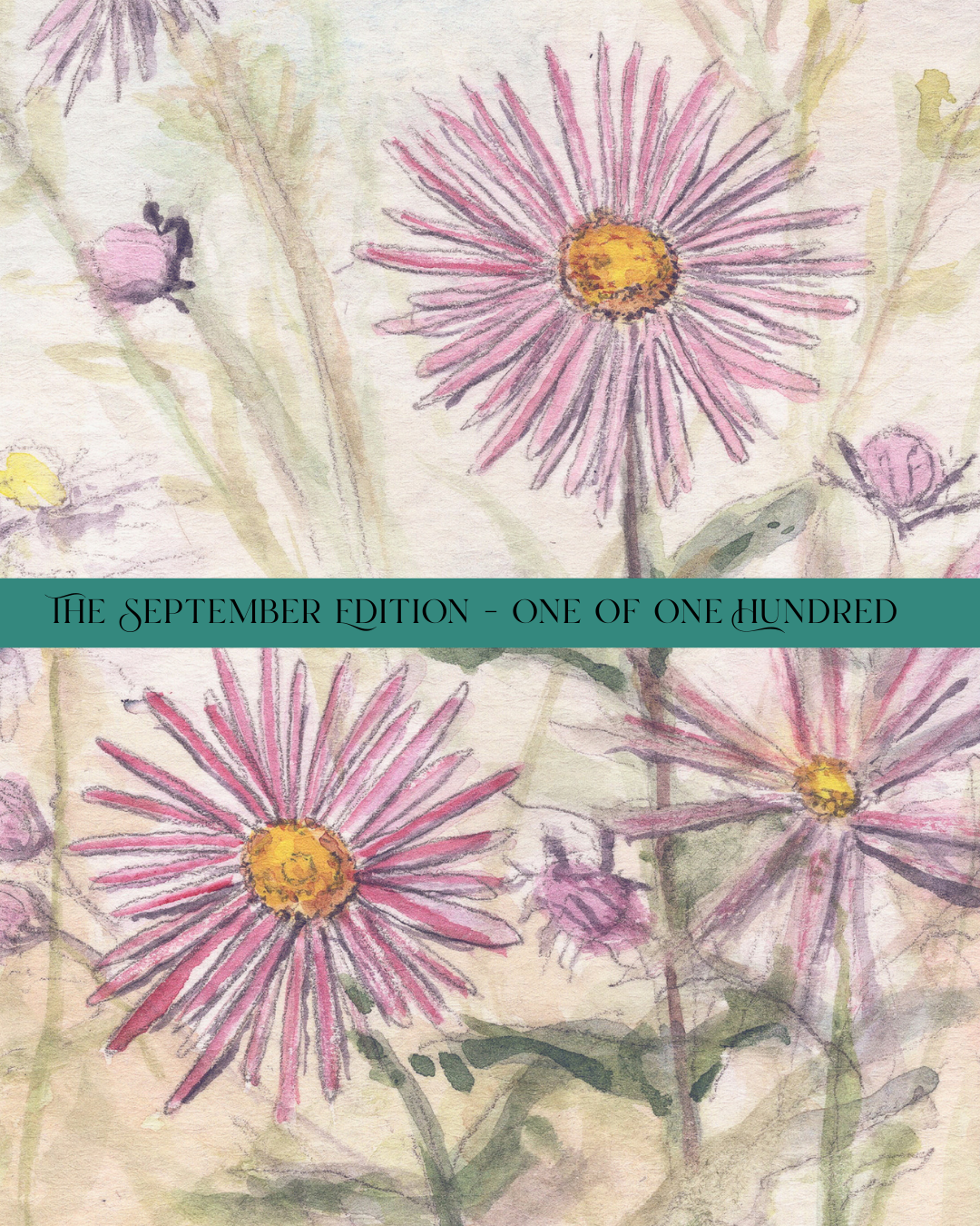 The Aster | 1 of 100 Art Print Series (September 2025)