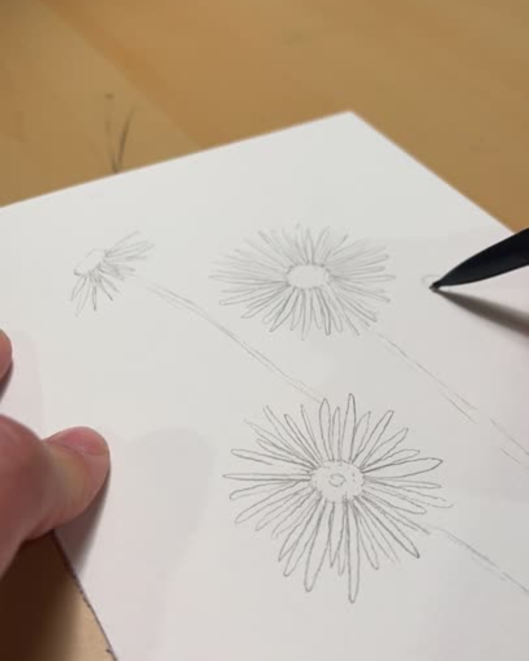 The Aster | 1 of 100 Art Print Series (September 2025)