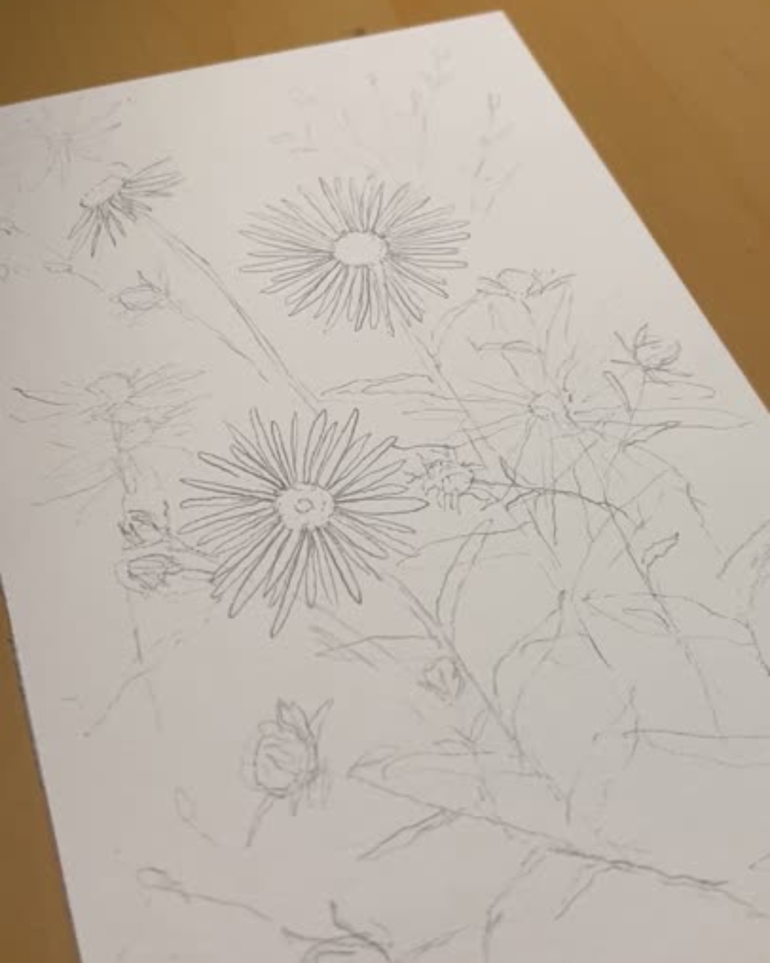 The Aster | 1 of 100 Art Print Series (September 2025)