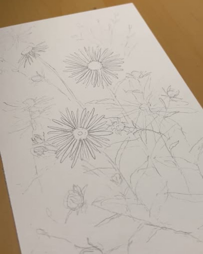 The Aster | 1 of 100 Art Print Series (September 2025)