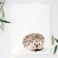 Chilly Hedgehog [FINAL SALE]