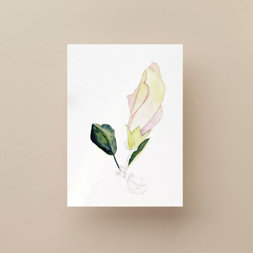 Unfinished_Bloom_Greeting_Card_Frameable_Floral_Art_for_Healing_Hope_From_Our_Floral_Collection