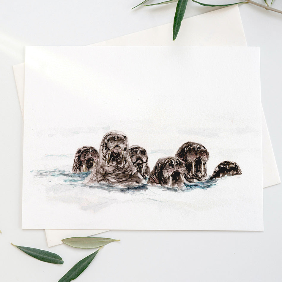 Winter Walruses [FINAL SALE]
