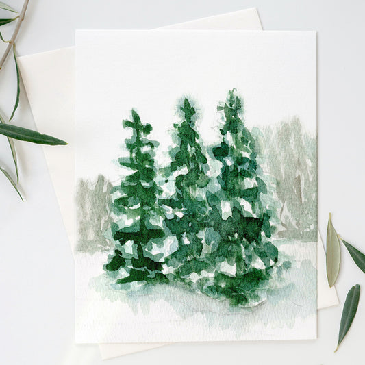 Winter Evergreens